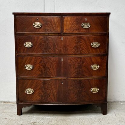 flame mahogany
